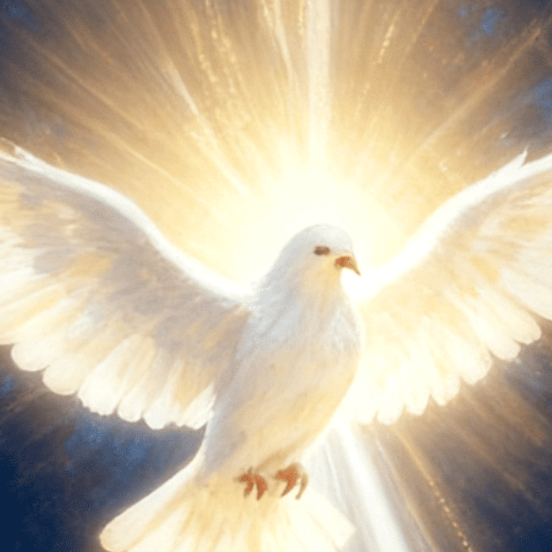 White dove, Holly Spirit with outstretched wings against a bright light background