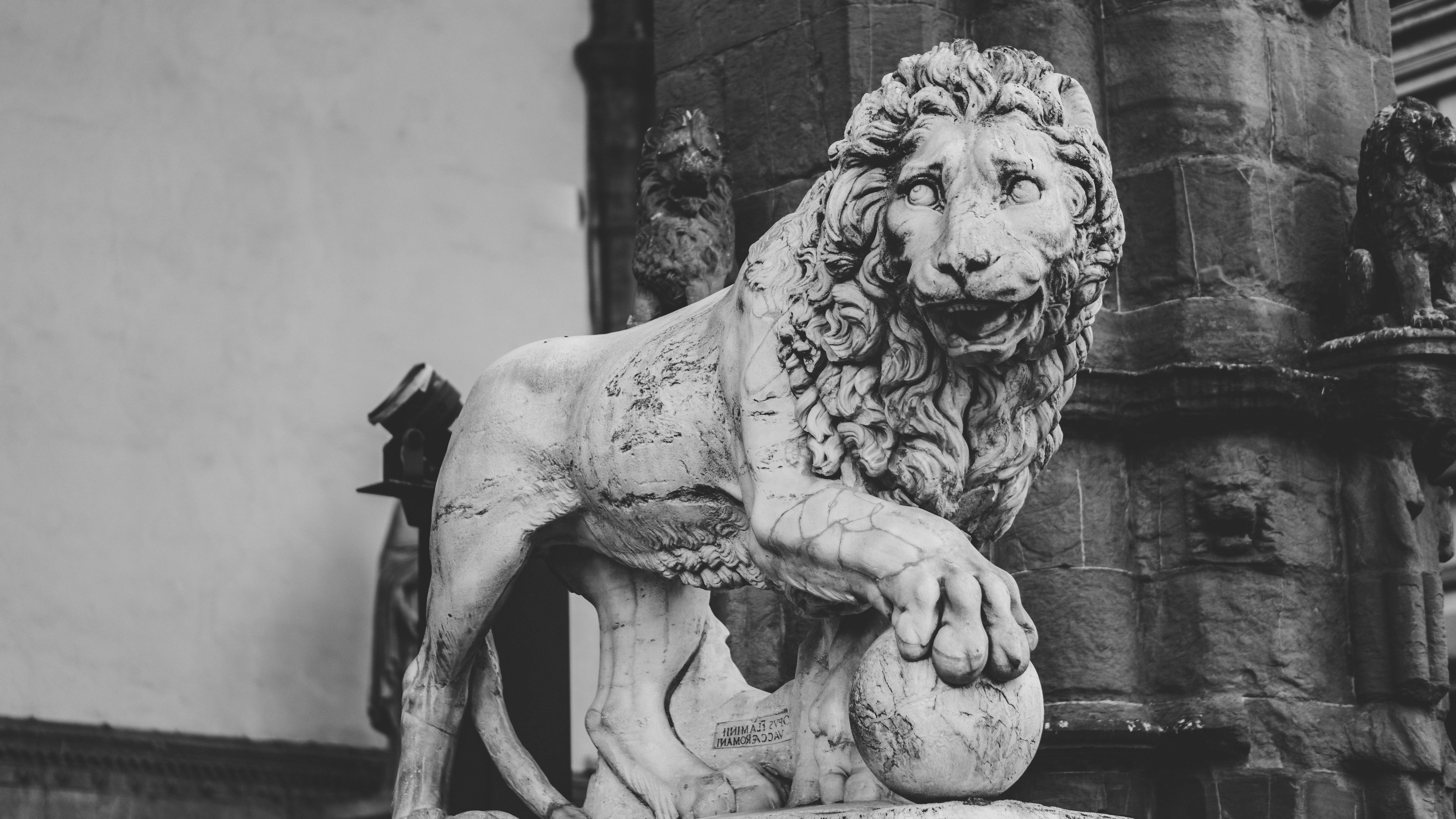 Stone lion sculpture on a architectural background